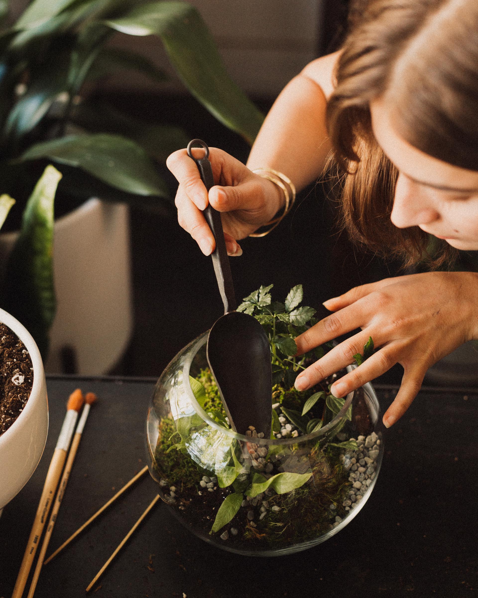 Terrarium Workshop - Image 4