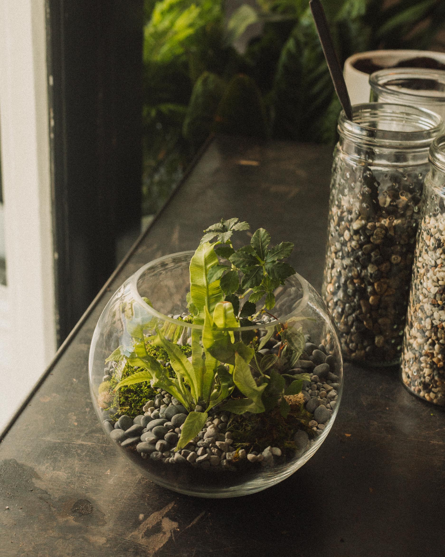 Terrarium Workshop - Image 5